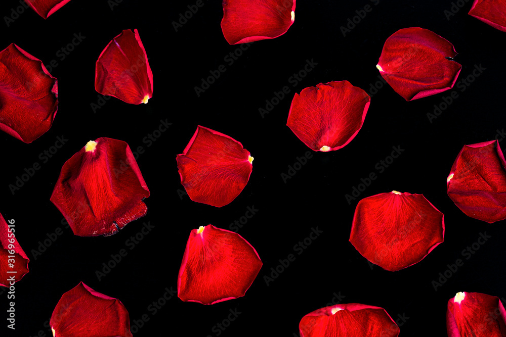 red rose petals on a black background red rose petals on a black background