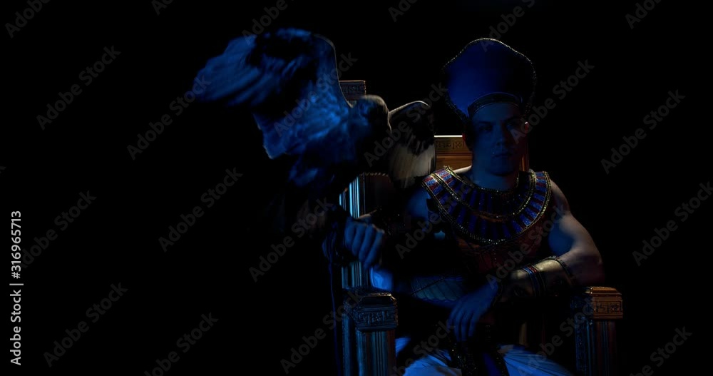 Egyptian pharaoh is sitting on a golden throne, hawk is flapping its wings, 4k
