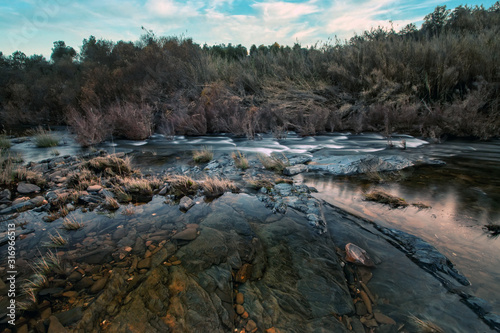 Healthy countryside river