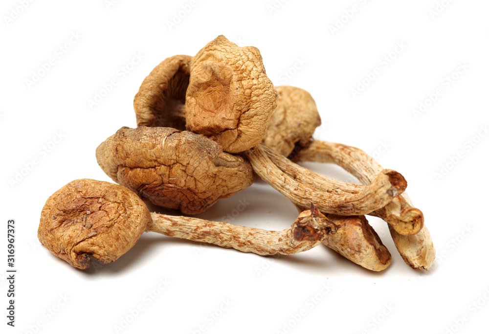 dried mushroom on white background dried mushroom on white background