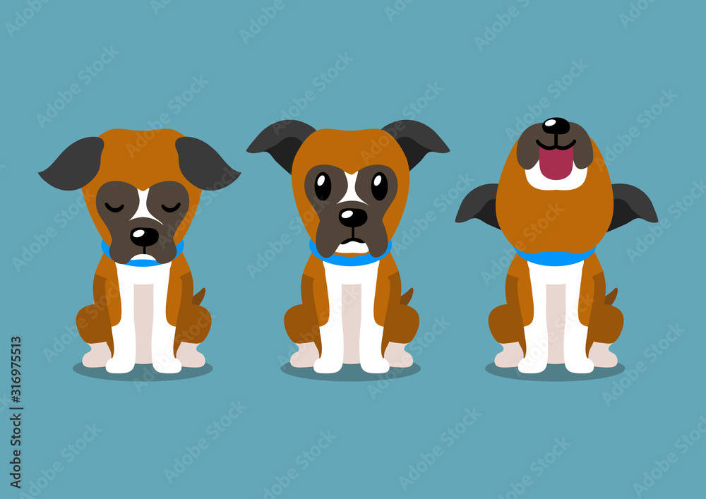 Fototapeta premium Cartoon character boxer dog poses for design.