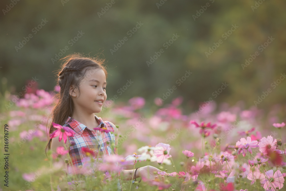 traveler or tourism. happy little asian girl child in cosmos flower fields with big smile and laughing healthy happy funny smiling face young adorable lovely female kid. happy lifestyle concept. traveler or tourism. happy little asian girl child in cosmos flower fields with big smile and laughing healthy happy funny smiling face young adorable lovely female kid. happy lifestyle concept.