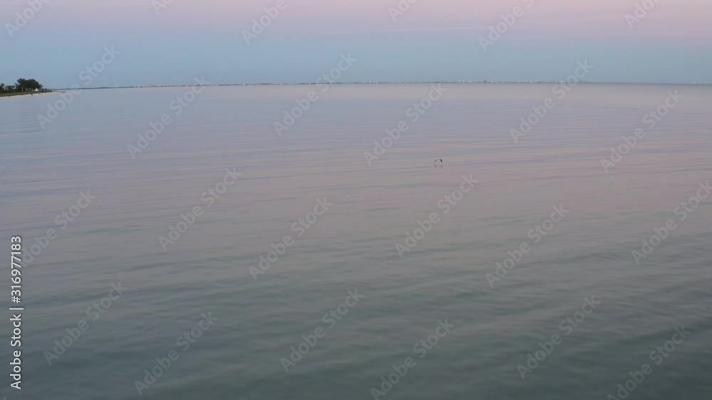 Seagull flying over the ocean aerial follow shot Seagull flying over the ocean aerial follow shot