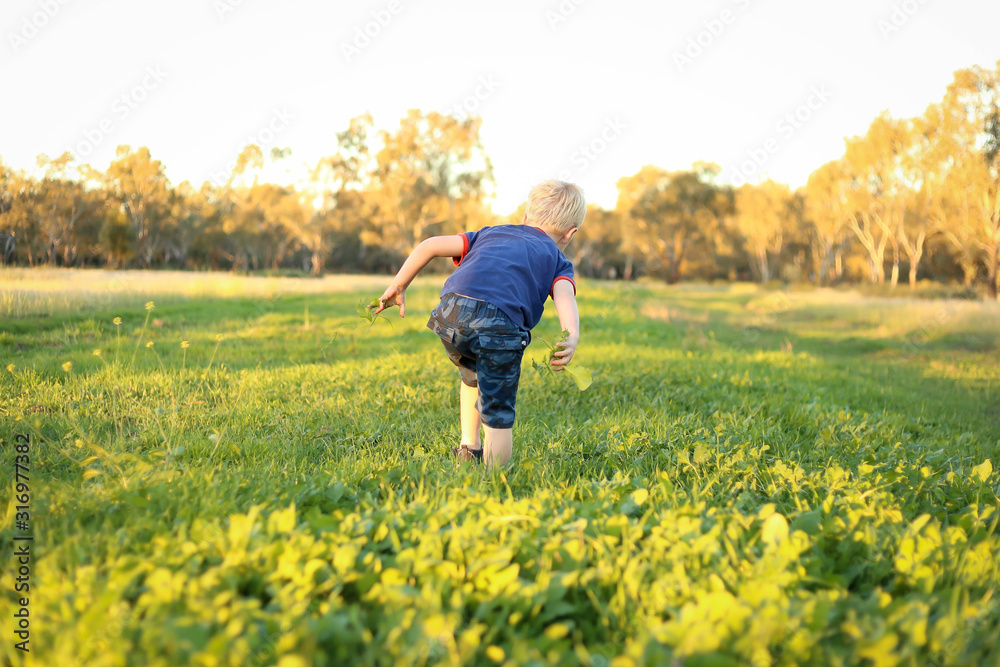 Little boy running away from camera through lush green grass in a vibrant field at sunset with copy space