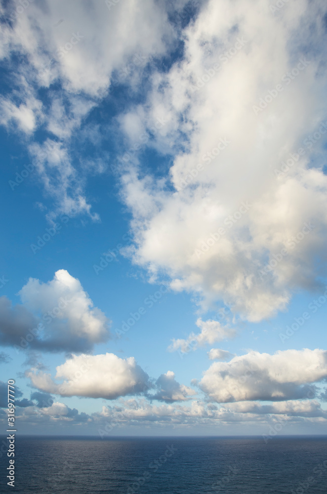 Obraz premium meadow with green grass and clouds over the sea