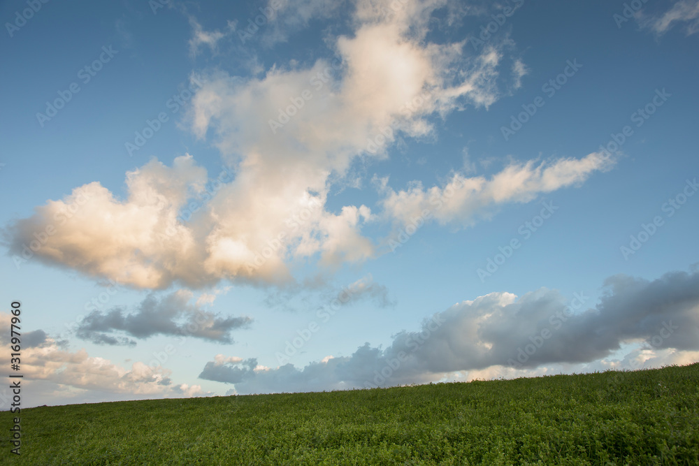 meadow with green grass and clouds over the sea meadow with green grass and clouds over the sea