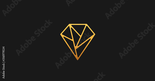 Luxury polygonal diamond logo linear icon. Geometric shape sign.