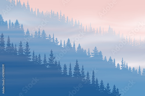 Coniferous forest in the fog, natural background, vector illustration, EPS10