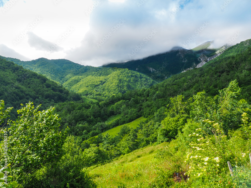 Fototapeta premium Lush spring forest under a mountain covered by fog in the natural park on a cloudy day