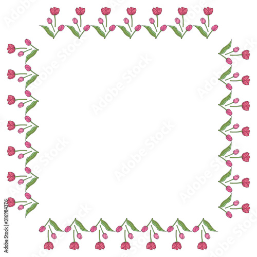 Square frame with vertical lovely pink tulips on white background. Isolated frame of flowers for your design.