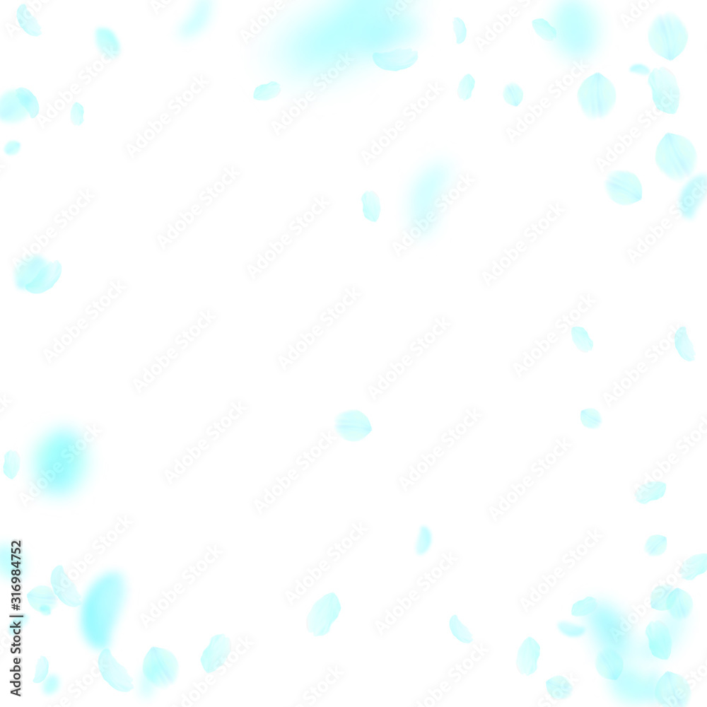 Turquoise flower petals falling down. Rare romanti Turquoise flower petals falling down. Rare romanti