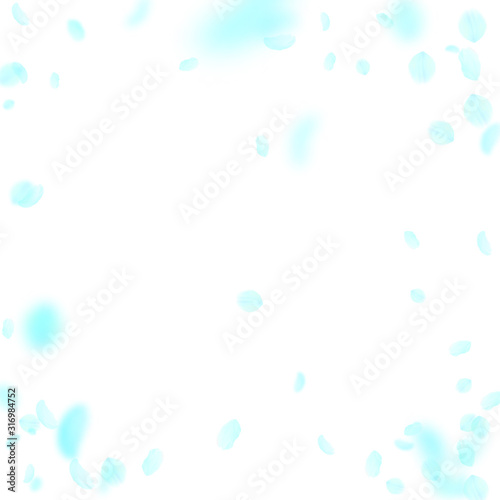 Turquoise flower petals falling down. Rare romanti