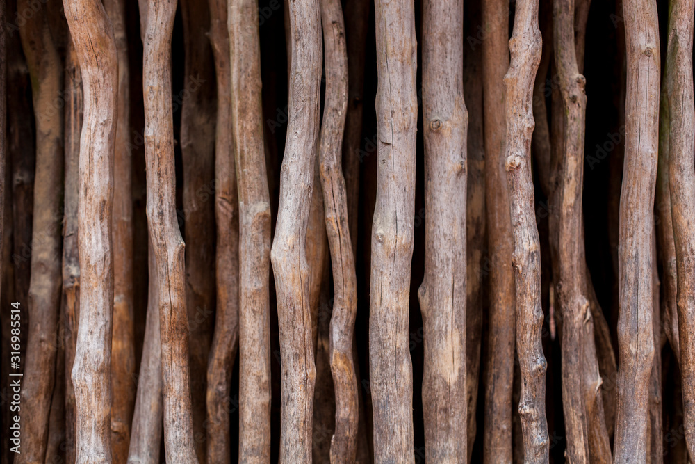 Abstrakte Wand aus Baumstämmen. Hintergrundbild, Deco wall with tree trunks. backgrund picture