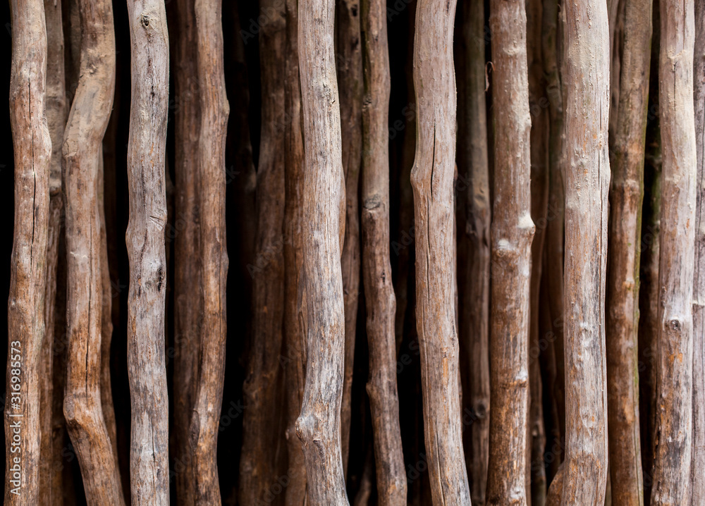 Dekorative Wand aus Baumstämmen. Hintergrundbild, Deco wall with tree trunks. backgrund picture Dekorative Wand aus Baumstämmen. Hintergrundbild, Deco wall with tree trunks. backgrund picture