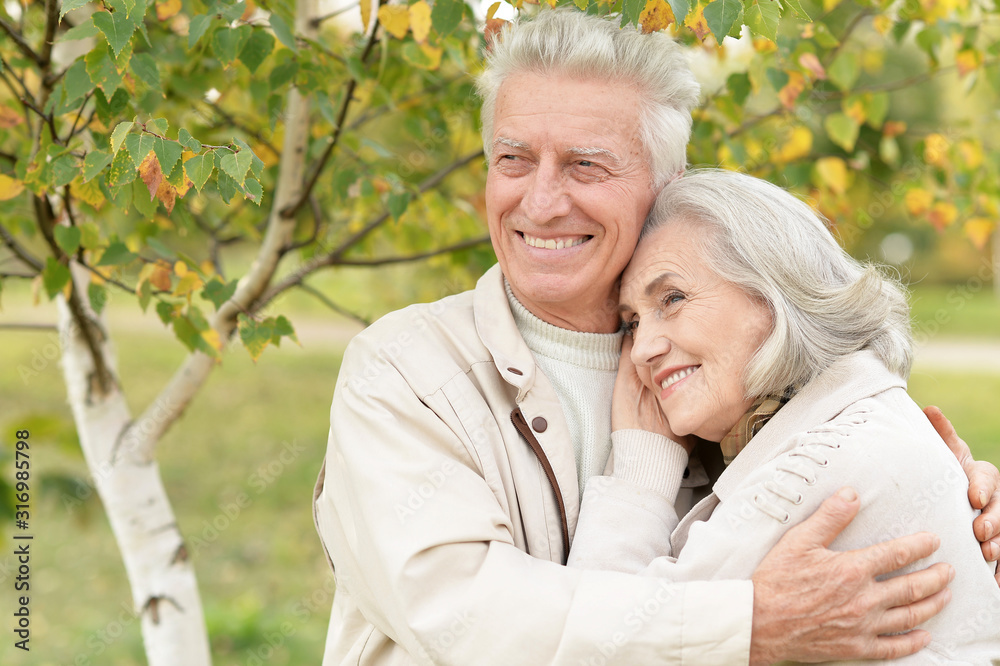 Beautiful senior couple hugging in the park Beautiful senior couple hugging in the park