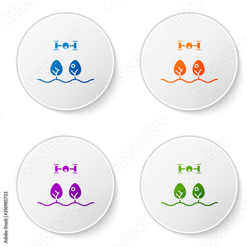 Color Smart farm with drone control and tree icon isolated on white background. Innovation technology for agricultural company. Set icons in circle buttons. Vector Illustration