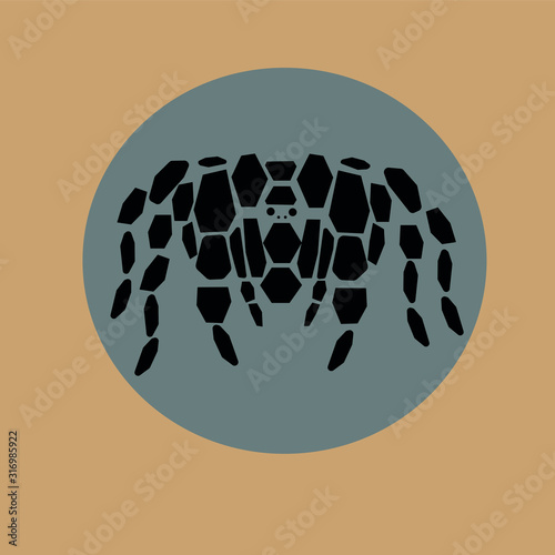 Vector illustration of a spider (tarantula) silhouette on background