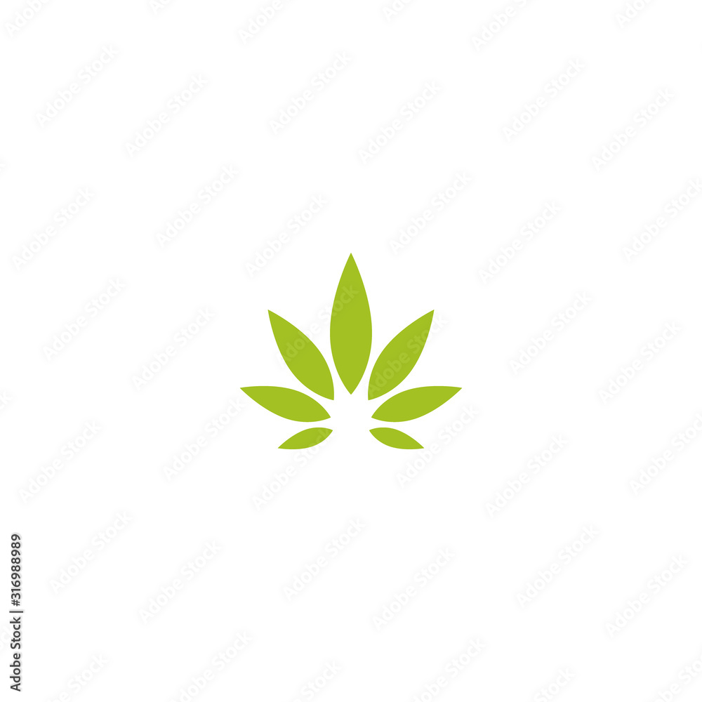 Green hemp or cannabis leaf isolated on white.