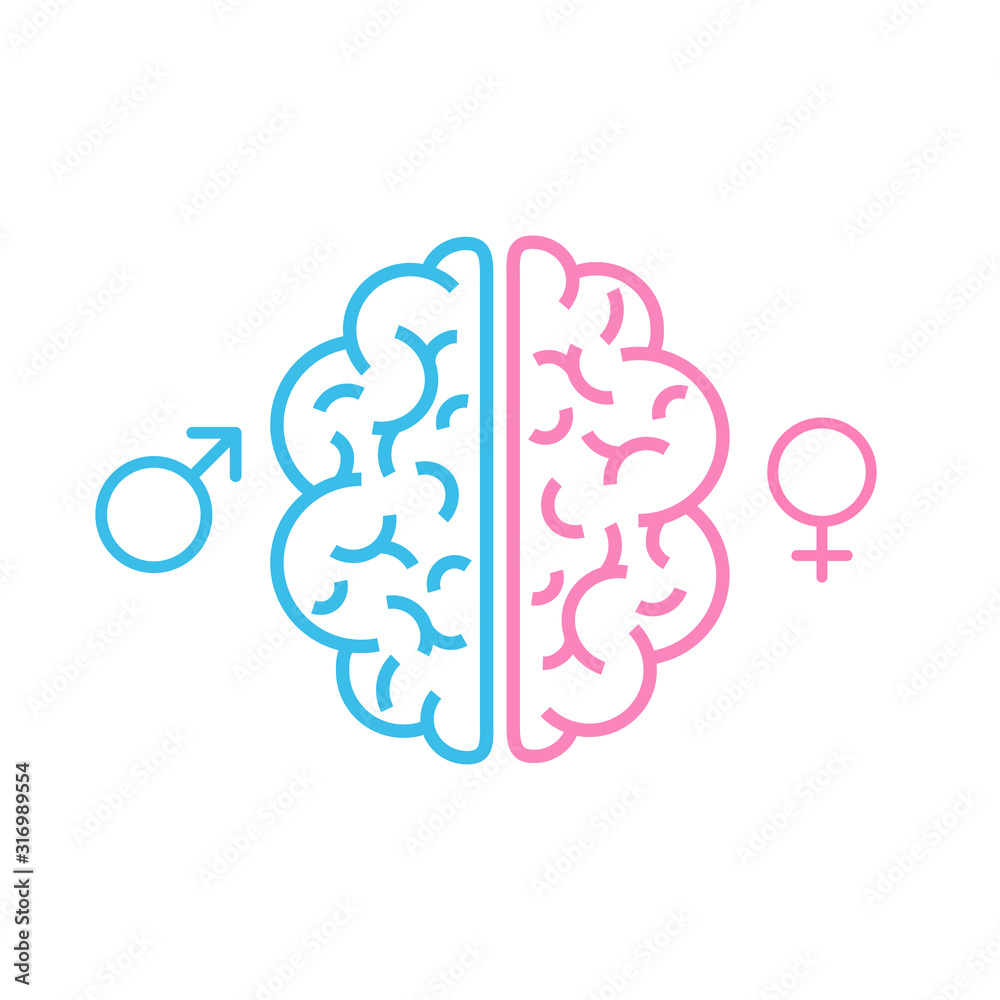 Brain. The two halves of the whole brain of pink and blue. Man and woman thinking concept. Stock vector illustration isolated on white background. Brain. The two halves of the whole brain of pink and blue. Man and woman thinking concept. Stock vector illustration isolated on white background.