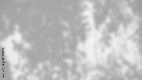 abstract background texture of shadows leaves on a concrete wall
