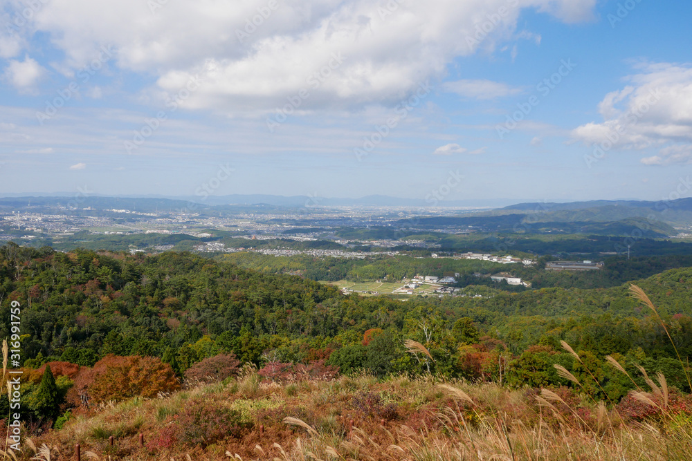 Fototapeta premium Beautiful Nara mountain at Nara city, Japan. Nara park is a famous place landmark to see wild animals deer