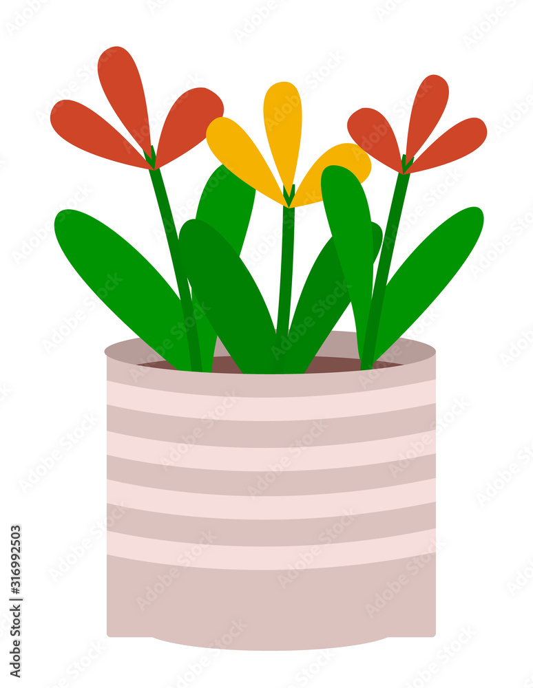 Plant in pot isolated in white background. Flowers that grown indoor in potting soil. Vegetation with blossom used for house and office interiors. Vector illustration of houseplant in flat style