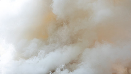 Background of white smoke, Fog or smoke background, Smog abstract background.