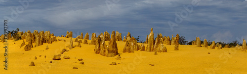 A panorama of The Pinnacles, desert limestone tourist destination at Nambung National Park near Cervantes, Coral Coast, Western Australia with yellow sand and a stormy sky. photo