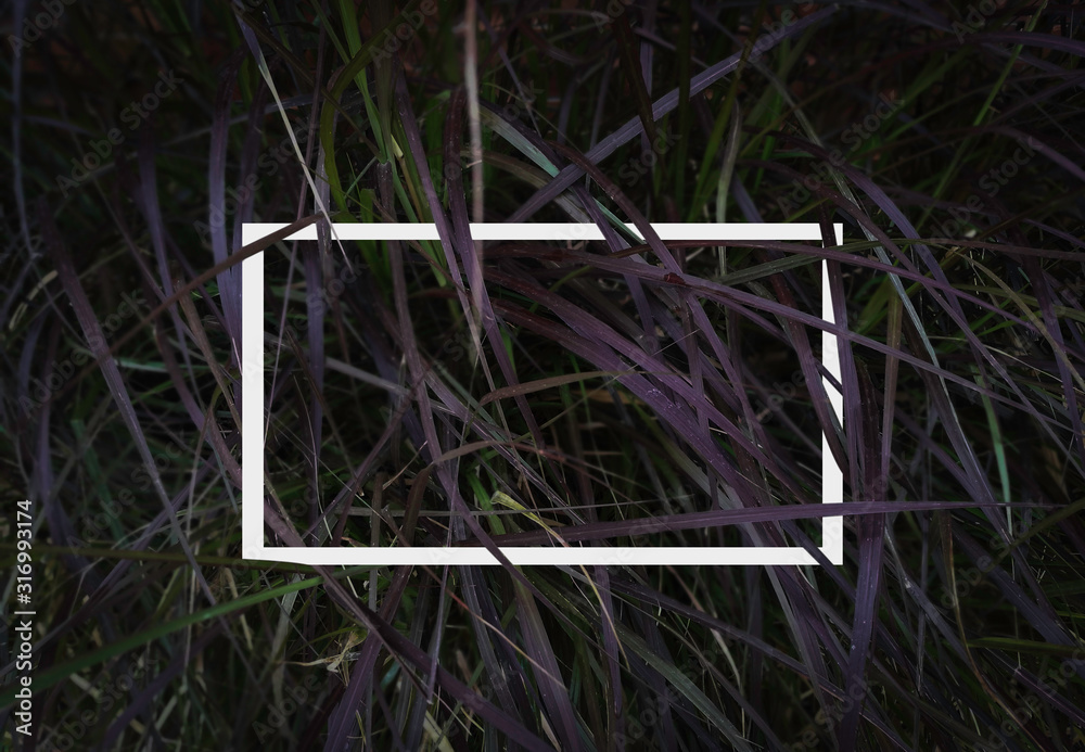 Obraz premium Flat lay, Creative layout dark green grass texture background with white square frame. Empty free space for design creative text, advertising. Nature concept