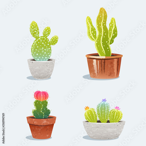 Set of four cactus in flower pot. Home plants. Vector Illustration