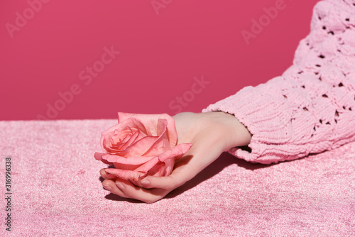 cropped view of woman holding rose flower on velour cloth isolated on pink, girlish concept