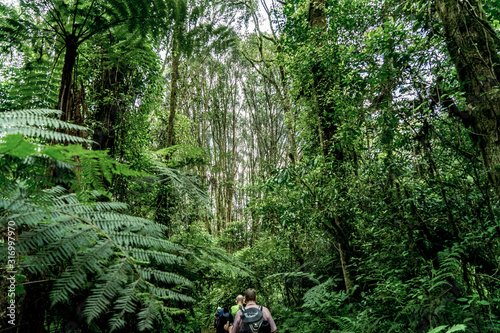 Trekking am Kilimandscharo, Tansania