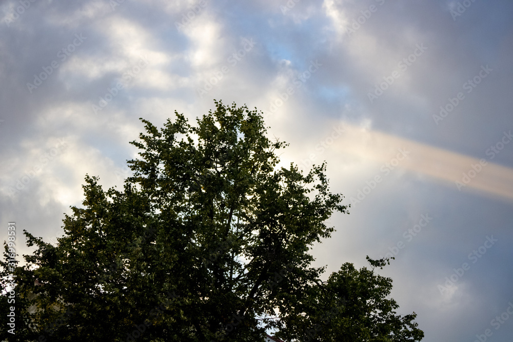 Open views of parks and forests with high contouring and colour saturation; In the background sky with thick cloud and dense rays of sun Open views of parks and forests with high contouring and colour saturation; In the background sky with thick cloud and dense rays of sun