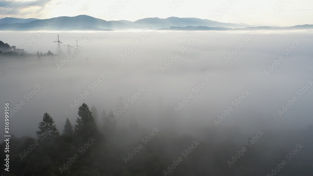 Fototapeta premium Aerial view of colorful mixed forest shrouded in morning fog on a beautiful autumn day