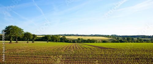 Panorama dans les champs, campagne Française, France.