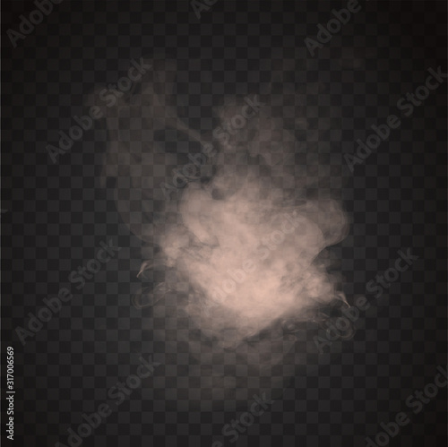 Cloud or puff of illuminated white smoke with trailing tendrils over a black background with copy space, vector illustration