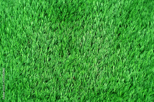 Wallpaper Mural texture of grass field. green artificial grass background Torontodigital.ca
