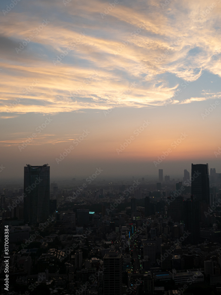 Tokio Skyline Silhouette_portrait format