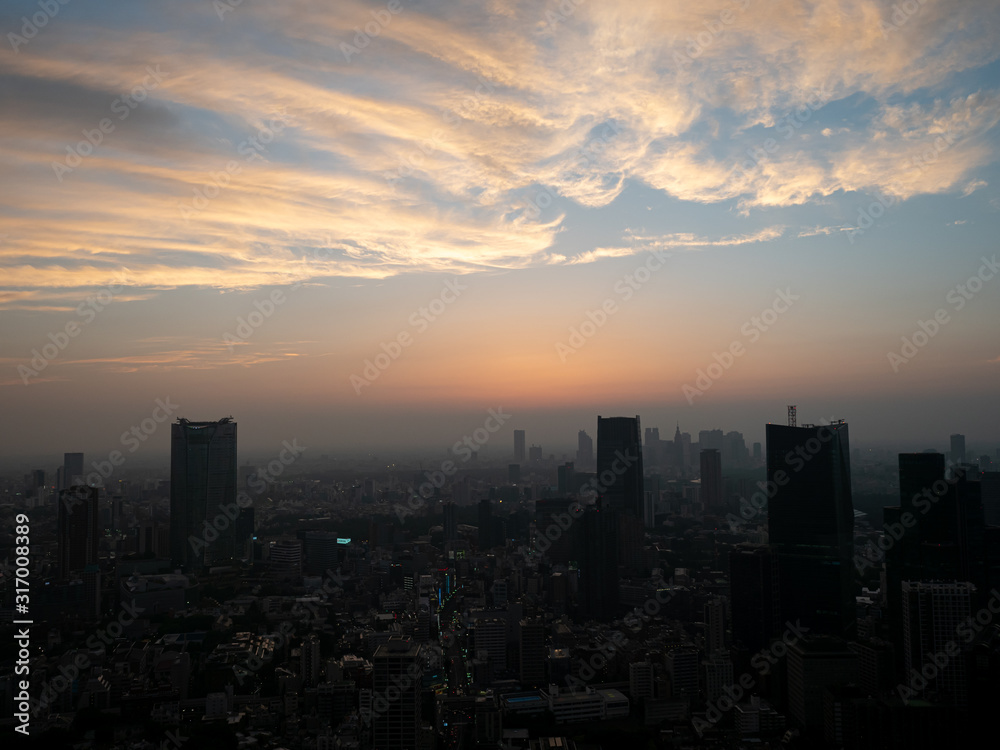 Tokio Skyline Silhouette_landscape format