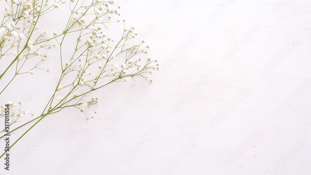 minimalistic monochrome composition with white flowers on a white wooden background. .Valentines Day, Easter, Birthday, Happy Women's Day, Mother's day. Flat lay. copy space minimalistic monochrome composition with white flowers on a white wooden background. .Valentines Day, Easter, Birthday, Happy Women's Day, Mother's day. Flat lay. copy space