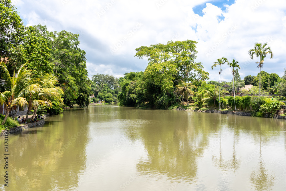 Canggu, Indonesia, december 29, 2019: river surrounded by green plants and palm trees
