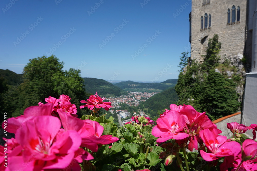 Blumen Burg
