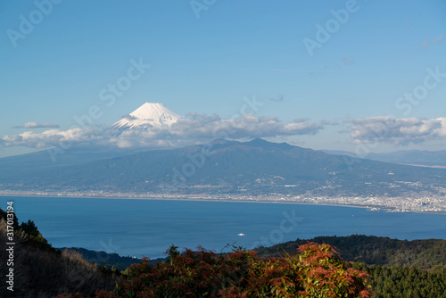 沼津湾沿いの街と富士山