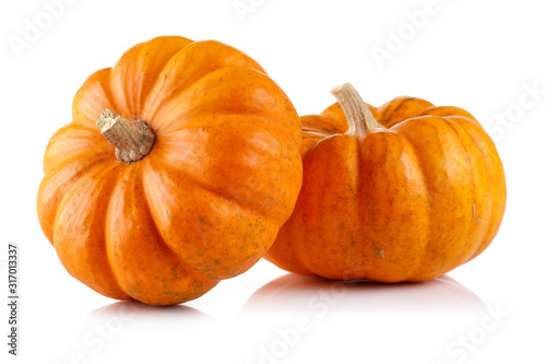 Two mini pumpkin isolated on white photo