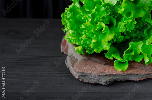 Green fresh salad ready to eat lies on a black background