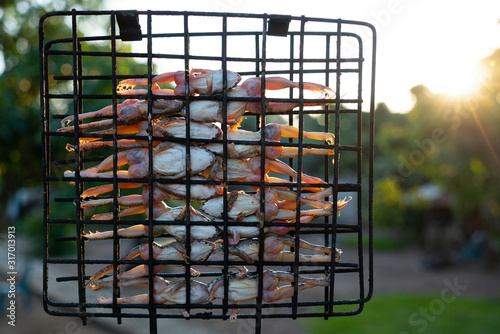 Small frog Grill on the stove, Rural food of Thai people.