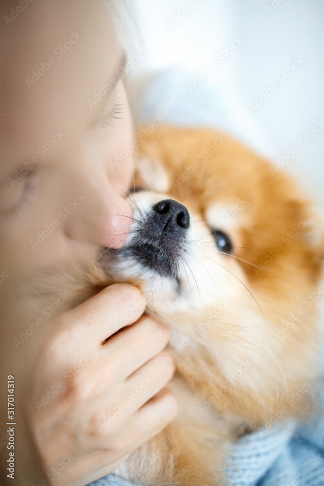 Close-up portrait of a woman and dog breed Pomeranian Spitz. A blond woman holds a dog in her arms and hugs him. Close-up portrait of a woman and dog breed Pomeranian Spitz. A blond woman holds a dog in her arms and hugs him.