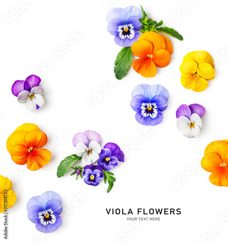 Spring viola pansy flowers composition photo