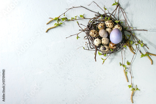 Canvas Print Colored chicken and quail Easter eggs in birds nest with young blooming birch branches over light grey texture background