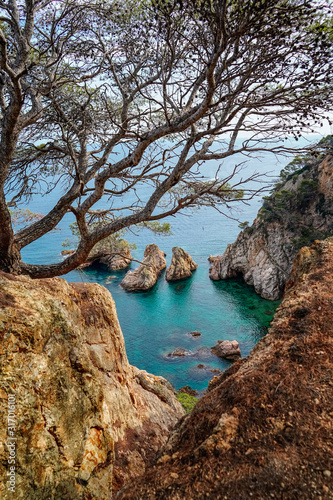 vertical Top view of the turquoise Mediterranean sea, rocks and Bay, through the trees